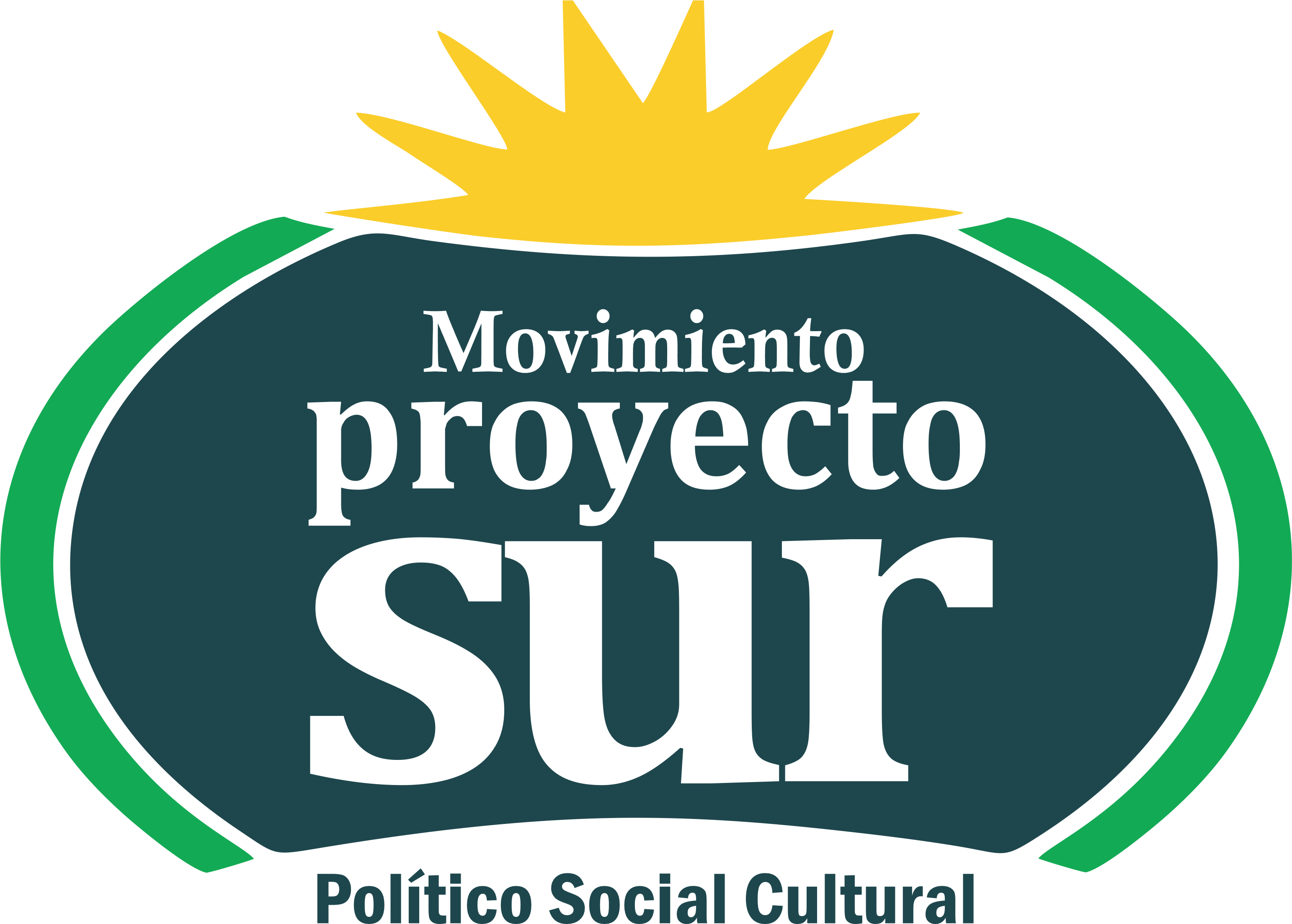 Proyecto Sur